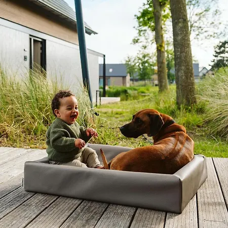 10 Persoons Comfort